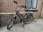 Gazelle Fuente Damesfiets, Ophalen, Gebruikt, Versnellingen, 56 cm of meer
