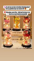 Valentijnscadeau: Eeuwige bloemen in glazen stolp, Huis en Inrichting, Kamerplanten, Overige soorten, In pot, Minder dan 100 cm