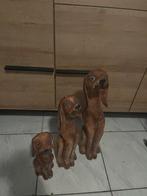 3 verschillende honden, Antiek en Kunst, Kunst | Beelden en Houtsnijwerken, Ophalen