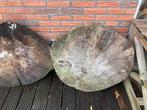 3 Boomstam schijven 75 cm, Ophalen, Zo goed als nieuw, Materiaal