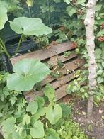 Gratis bloembakken pallets, Ophalen, Hout, Minder dan 60 cm