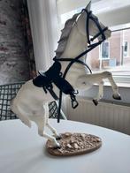 Diverse leuke barbies, Skipper en Cindy. Aub bieden, Ophalen of Verzenden, Gebruikt, Barbie