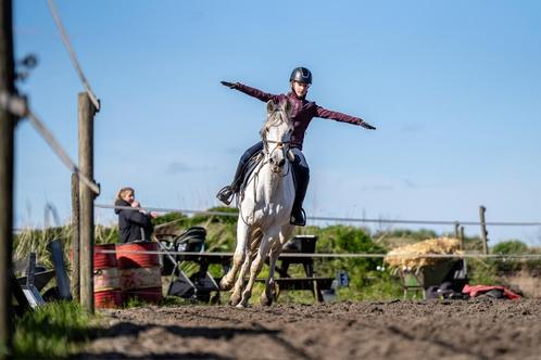 Start nieuwe (groeps)lessen per 1 mei!, Diensten en Vakmensen, Dieren | Paarden | Verzorging, Oppas en Les, Paardrijles of Ponykampen