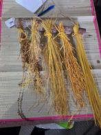 Decoratieve hangers met droogstukken – oranje & geel, Ophalen of Verzenden, Nieuw