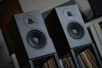 Linn Tukan zeldzame versie (zie stofcap), Audio, Tv en Foto, Luidsprekers, Overige merken, Front, Rear of Stereo speakers, Gebruikt
