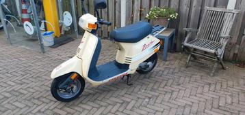 Te koop Peugeot rapido brommer loopt goed zonder papieren  beschikbaar voor biedingen