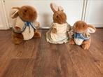 Peter Rabbit Beatrix Potter Pieter Konijn Fredericx Warne, Ophalen of Verzenden, Zo goed als nieuw, Konijn