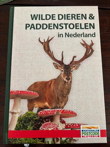 Wilde dieren & paddestoelen in NL beschikbaar voor biedingen