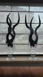 2 glazen vazen met elk 3 kudu koedoe hoorns van 72 cm., Ophalen of Verzenden, Gebruikt