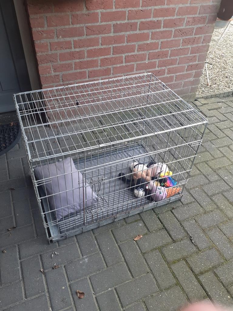 Bench  inklapbaar met hoes., Dieren en Toebehoren, Hondenhokken, Ophalen, Zo goed als nieuw, 75 tot 110 cm, 65 tot 100 cm