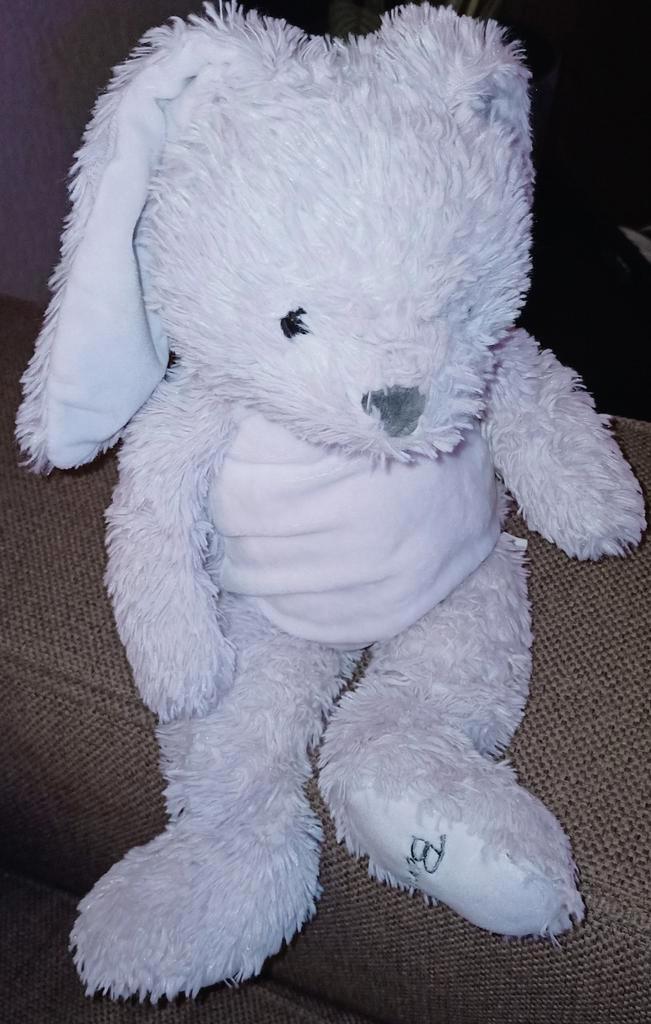 Bambino, evora, kruidvat grijs konijn., Kinderen en Baby's, Speelgoed | Knuffels en Pluche, Gebruikt, Konijn, Ophalen of Verzenden