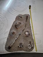 Fossiel, Verzamelen, Mineralen en Fossielen, Ophalen, Fossiel