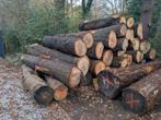 Dikke Boomstammen tekoop, Tuin en Terras, Haardhout, 6 m³ of meer, Ophalen, Eikenhout, Stammen