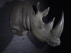 levensechte neushoorn replica koppen taxidermy, Ophalen, Gebruikt, Hert, Gewei of Kop