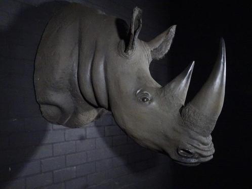 levensechte neushoorn replica koppen taxidermy, Verzamelen, Dierenverzamelingen, Gebruikt, Gewei of Kop, Hert, Ophalen