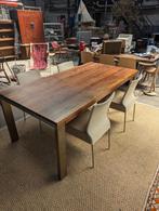 Bert Plantegie Tafel, Huis en Inrichting, Tafels | Eettafels, 200 cm of meer, Zo goed als nieuw, Vijf personen of meer, Rechthoekig