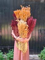 Nieuwe herfstkleur droogbloemen phalaris haver burgundy zalm, N, N, Nieuw, Ophalen of Verzenden