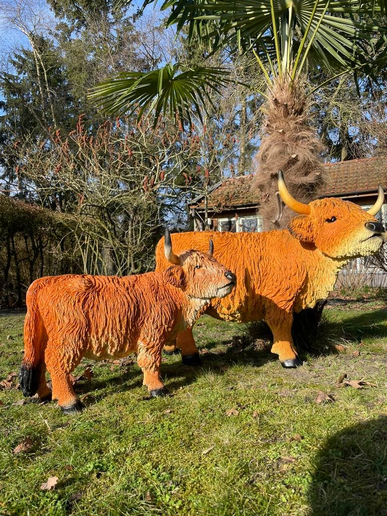 Set Schotse hooglanders tuin rund koe beeld boerderij boer, Ophalen, Nieuw, Kunststof, Dierenbeeld