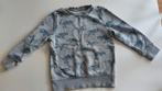Trui maat 110 dinosaurus, Ophalen of Verzenden, Gebruikt, Jongen, Trui of Vest