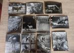 Oude set dieren foto's Diergaarde Blijdorp Rotterdam, Verzamelen, Foto's en Prenten, Gebruikt, Foto, Ophalen of Verzenden, 1940 tot 1960