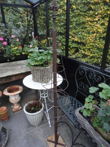 antiek FRANS BUXUS ORNAMENT, 1,56 cm / tuin beschikbaar voor biedingen