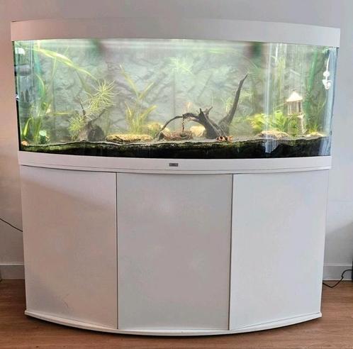 Juwel Vision 450L wit met toebehoren, Dieren en Toebehoren, Vissen | Aquaria en Toebehoren, Gebruikt, Leeg aquarium, Ophalen