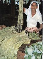 Suriname vrouw met Kousebandjes / ca. 1967 . € 1,00, Verzamelen, Ansichtkaarten | Buitenland, Verzenden, 1960 tot 1980, Ongelopen
