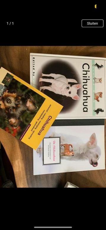 Chichuha boeken 3 stuks  beschikbaar voor biedingen