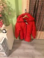 Mexx Nieuw Maat L 🟢, Kleding | Dames, Jassen | Winter, Ophalen of Verzenden, Zo goed als nieuw