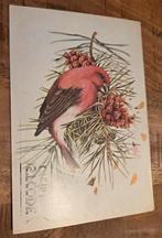 Kruisbek, Verzenden, 1980 tot heden, Gelopen, Vogel