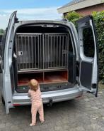 Hondenkooi professioneel dubbel RVS van honden-kooi, Dieren en Toebehoren, Ophalen, Gebruikt