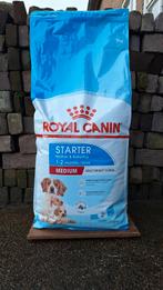 Royal Canin Medium Starter 15kg, Dieren en Toebehoren, Ophalen, Hond