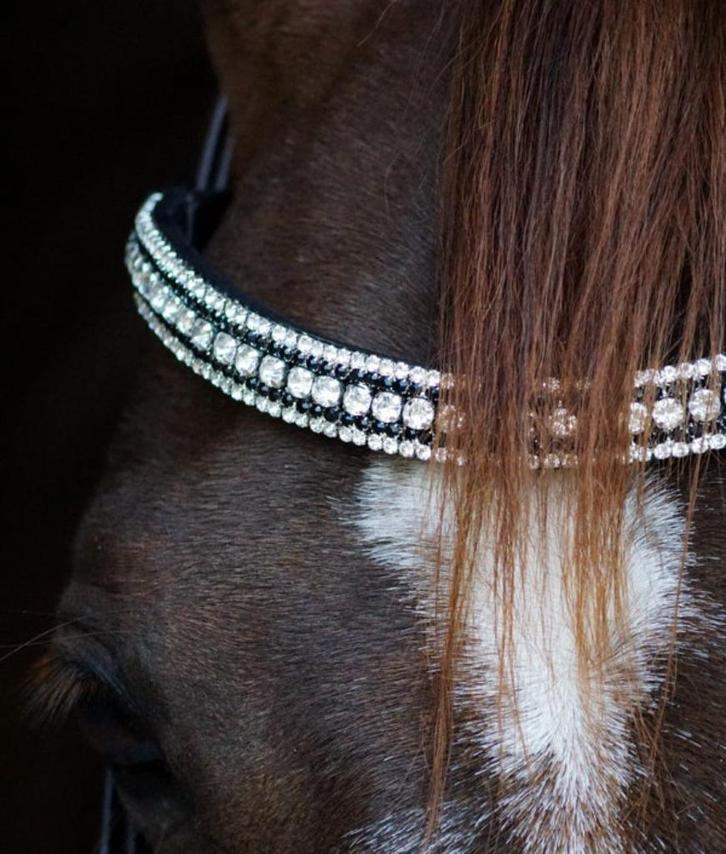 L'Anique Click&Go Frontriem Domino, Dieren en Toebehoren, Paarden en Pony's | Hoofdstellen en Tuigage, Nieuw, Dressuur, Ophalen of Verzenden