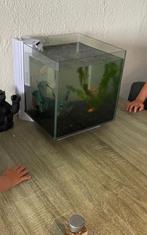 Vissekom/aquarium, Dieren en Toebehoren, Vissen | Aquaria en Toebehoren, Ophalen, Zo goed als nieuw, Leeg aquarium