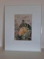Ingelijste aquarel stilleven pompoenen, Antiek en Kunst, Ophalen of Verzenden