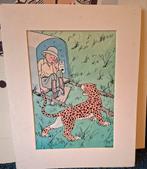 Kuifje en de luipaard in Congo, Afrika, Ophalen