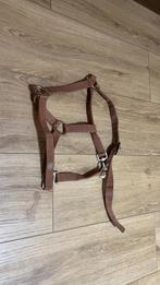 Halster, Dieren en Toebehoren, Ophalen of Verzenden, Gebruikt, Overige soorten