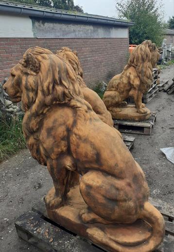Oud roest look grote leeuwen beschikbaar voor biedingen