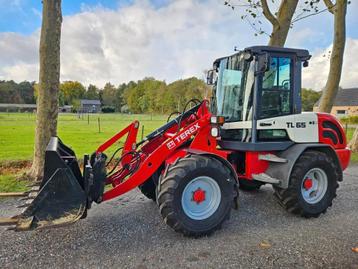 Terex TL 65 Wiellader Minishovel Radlader Shovel (bj 2008) beschikbaar voor biedingen