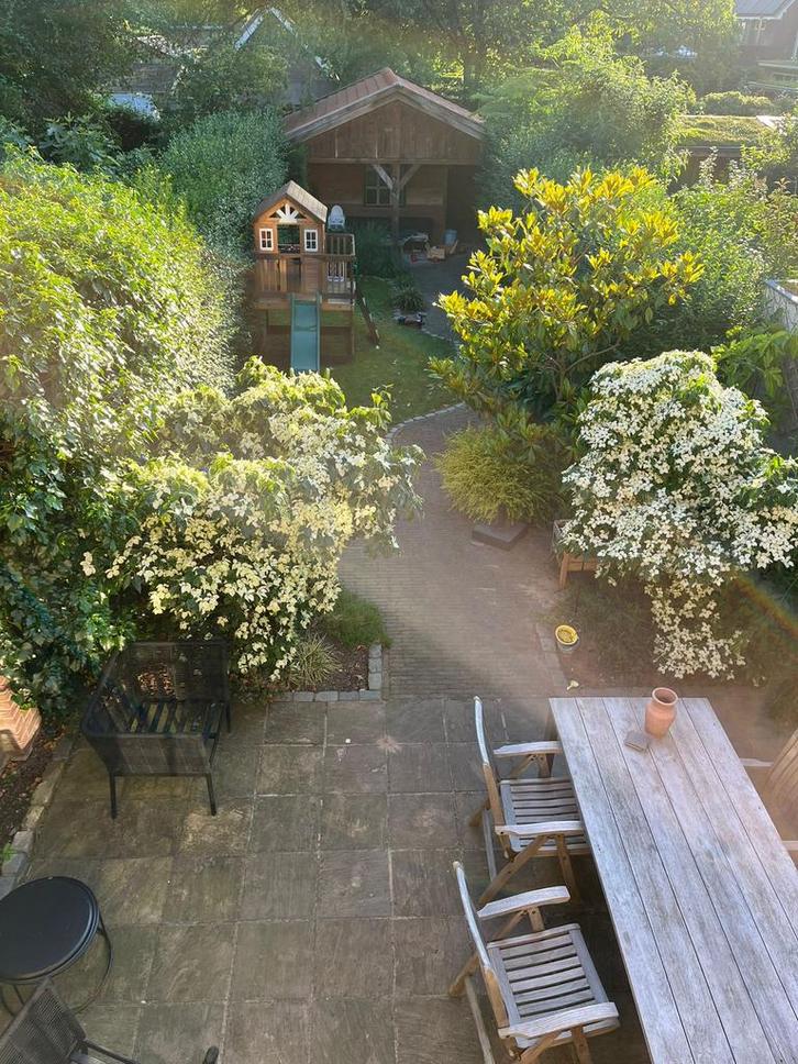 2x Cornus Kousa Schmetterling - Japanse kornoelje 230 hoog, Tuin en Terras, Planten | Bomen, Overige soorten, 100 tot 250 cm, Halfschaduw