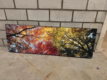 Prachtig Schilderij: Herfstbos 90x30 beschikbaar voor biedingen