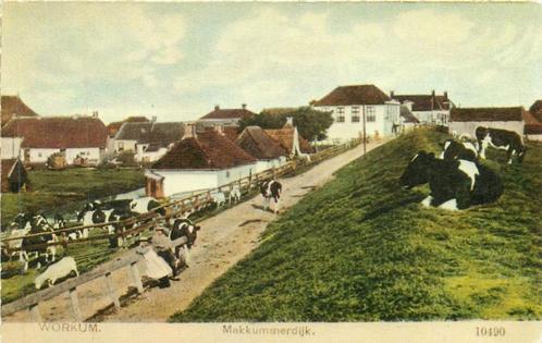 (381-310-011) Workum Makkummerdijk, Verzamelen, Ansichtkaarten | Nederland, Friesland, Verzenden