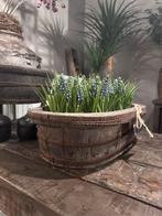 Ovale olijfbak, Ophalen of Verzenden