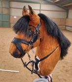 Fluffy Hobbyhorse te koop!, Hobby en Vrije tijd, Overige Hobby en Vrije tijd, Ophalen of Verzenden, Nieuw