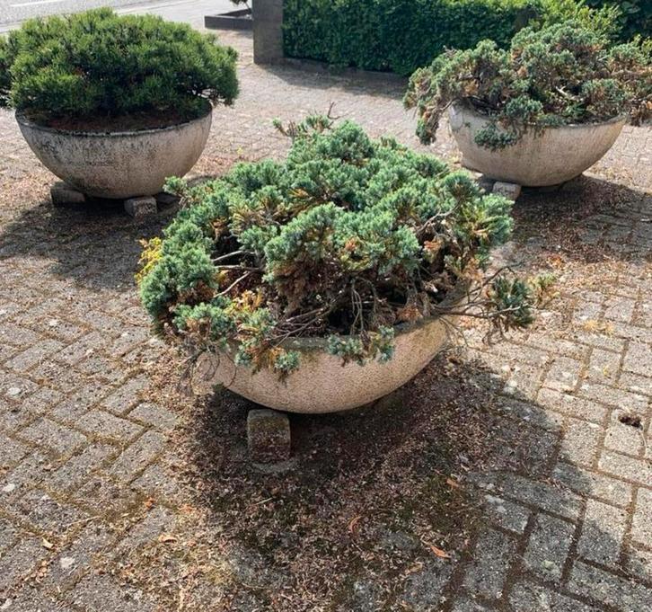 Grote ronde zware plantenbakken bloembakken planten schaal, Tuin en Terras, Bloembakken en Plantenbakken, Zo goed als nieuw, Steen