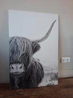 Kanvas Schotse Hooglander Zwart/Wit 60x90, Ophalen, 50 tot 75 cm, 50 tot 75 cm, Print