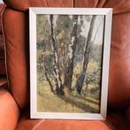Bomen in het bos, olieverf op board, gesigneerd r.o, Antiek en Kunst, Ophalen of Verzenden