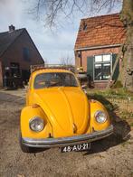 Volkswagen 1200 1.2 1974, Origineel Nederlands, Te koop, Benzine, Overige modellen