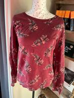 Revelation trui bordeaux maat L (valt kleiner), Ophalen of Verzenden, Zo goed als nieuw, Maat 42/44 (L), Rood