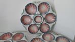 Franse Retro Vintage oesterborden Digoin, Huis en Inrichting, Keuken | Servies, Ophalen of Verzenden, Overige stijlen, Bord(en)
